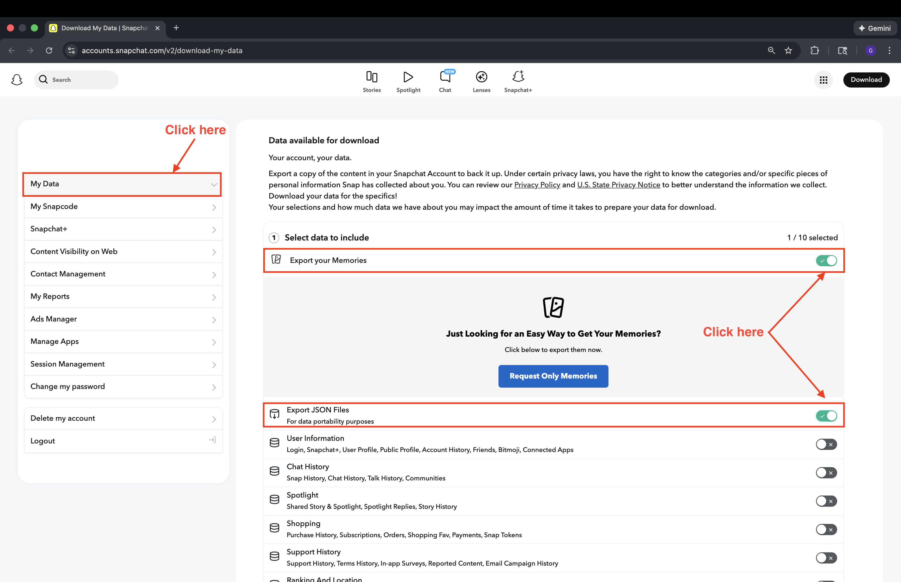 Select Export your Memories and Export JSON Files