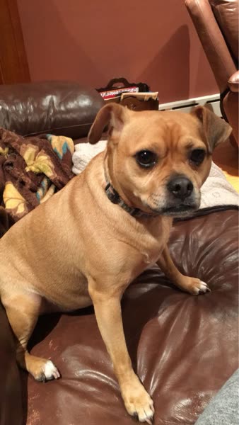 Snapchat memory from 2016