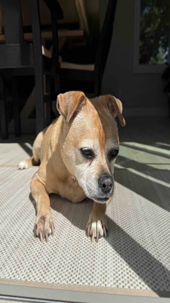 Snapchat memory from 2025