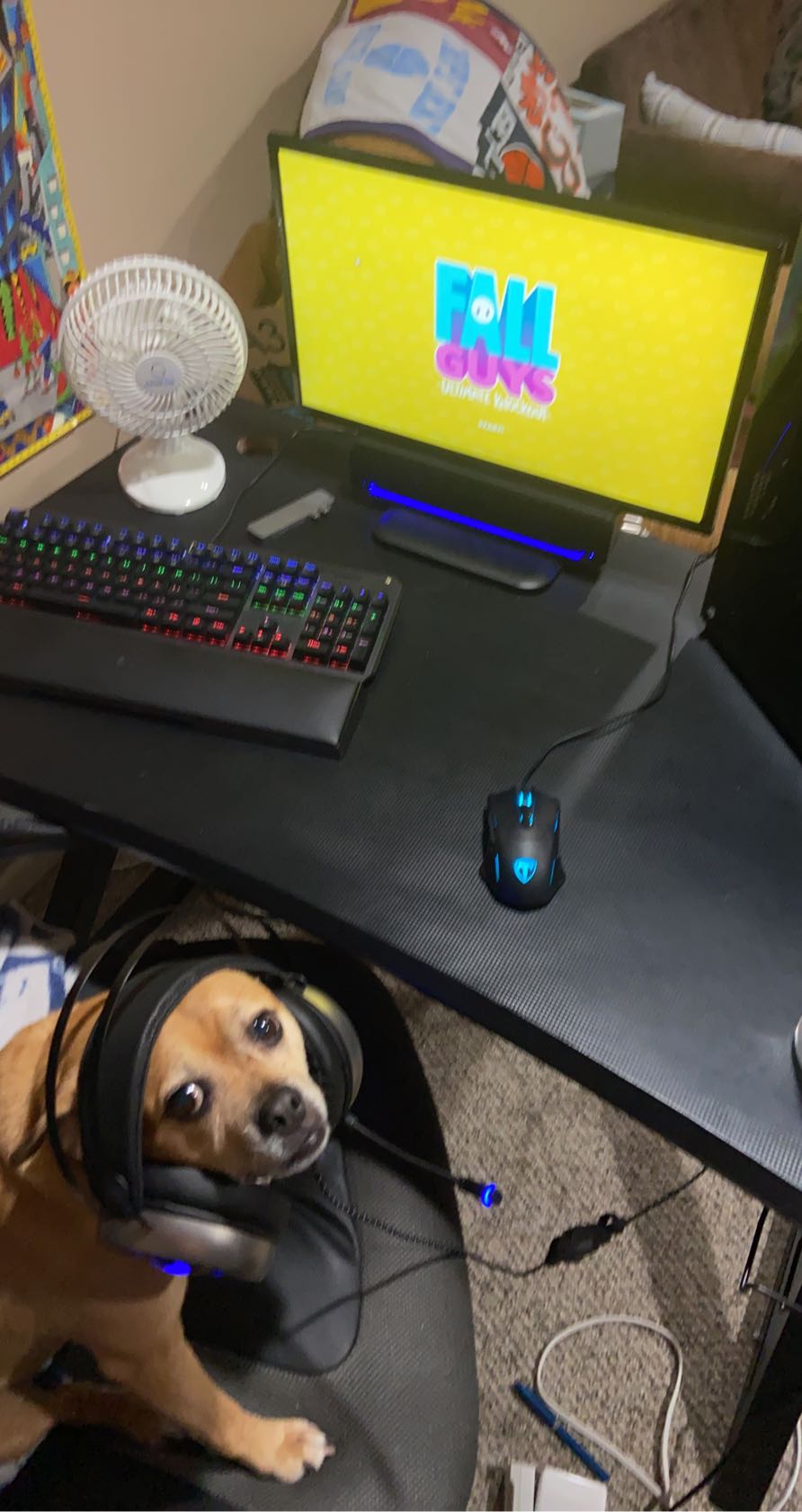 Gaming setup photo without overlay text and drawings